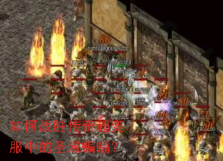 如何战胜传奇超变服中的圣域蝙蝠? 如何战胜传奇超变服中的圣域蝙蝠?