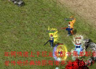 如何快速上手狂龙觉醒专属单职业?老传奇经典地图有哪些通关技巧? 如何快速上手狂龙觉醒专属单职业?老传奇经典地图有哪些通关技巧?