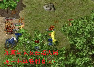 如何与队友在焰火屠魔中共享胜利喜悦? 如何与队友在焰火屠魔中共享胜利喜悦?