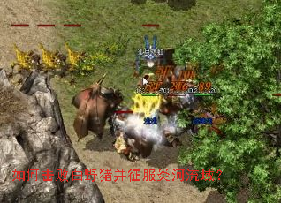 ��λ��ܰ�Ұ���������׺�����