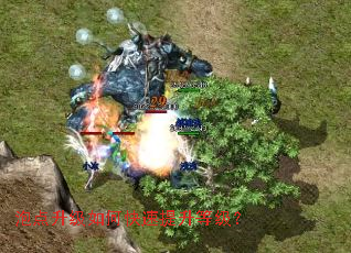 �ݵ�������ο��������ȼ���