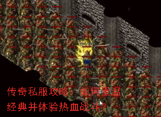 ����˽�����ԣ�������¾��䲢������Ѫս����