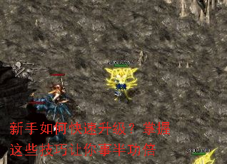 ������ο���������������Щ���������°빦��