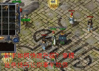 ������ο���������������Щ���������°빦��