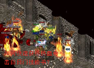 ��ο��ٻ����Ѫ�ϻ������ż����飿