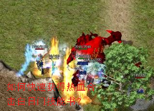 ��ο��ٻ����Ѫ�ϻ������ż����飿