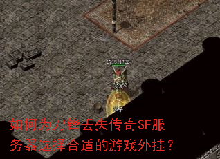 如何为刀锋丢失传奇SF服务器选择合适的游戏外挂? 如何为刀锋丢失传奇SF服务器选择合适的游戏外挂?