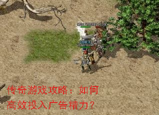 ������Ϸ���ԣ���θ�ЧͶ���澫����