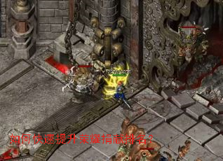 ��ο���������ҫ����������