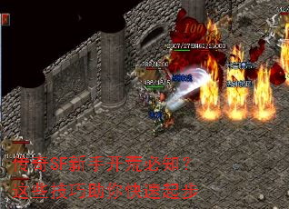 ����SF���ֿ��ı�֪����Щ�������������