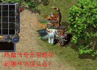 ��Ѫ����Ԫ��������Щ����װ����