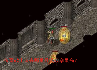 ����սʿ��ȥ��������Ч����ߣ�