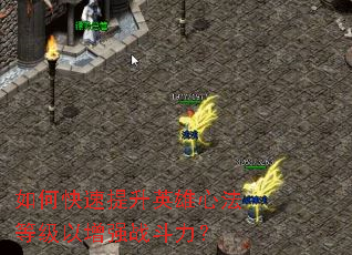 ��ο�������Ӣ���ķ��ȼ�����ǿս������