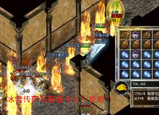 ��ѩ����˽���������Ź��ԣ�