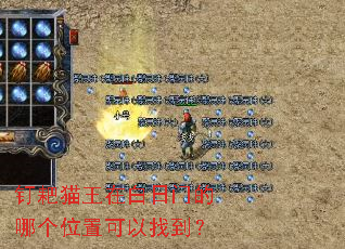 ����è���ڰ����ŵ��ĸ�λ�ÿ����ҵ���