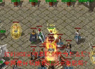 ��ҶHCQ���ﵥְҵ������ô�棿ȫ�����������8888Ԫ������