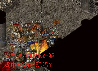 �����ʿְҵ����Ϸ����ĺ�����