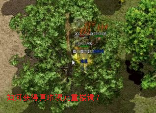 ��λ�����貾���¥����