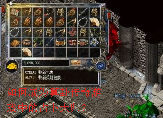 ��γ�Ϊ���Դ�����Ϸ�е�ռ����ʦ��