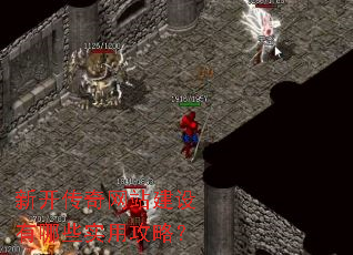 �¿�������վ��������Щʵ�ù��ԣ�