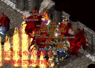 �¿�������վ��������Щʵ�ù��ԣ�