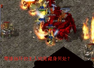 ��Եָ�������˾��������δ���