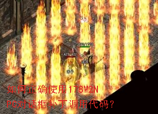 �����ȷʹ��178M2NPC�Ի��򲹶����ô��룿