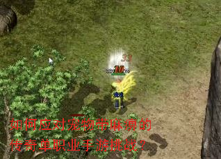 ���Ӧ�Գ������ԵĴ��浥ְҵ������ս��