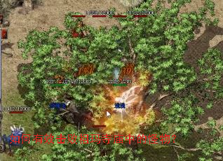 如何有效击败祖玛寺庙中的怪物? 如何有效击败祖玛寺庙中的怪物?