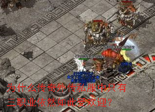 Ϊʲô�����⴫˽����ֻ����ְҵ��Ȼ����ܻ�ӭ��