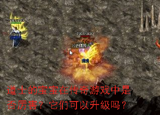 道士的宝宝在传奇游戏中是否厉害?它们可以升级吗? 道士的宝宝在传奇游戏中是否厉害?它们可以升级吗?