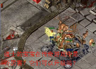 道士的宝宝在传奇游戏中是否厉害?它们可以升级吗? 道士的宝宝在传奇游戏中是否厉害?它们可以升级吗?