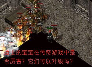 道士的宝宝在传奇游戏中是否厉害?它们可以升级吗? 道士的宝宝在传奇游戏中是否厉害?它们可以升级吗?