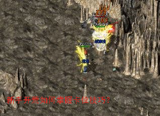 ���ֿ���������տ�λ���ɣ�