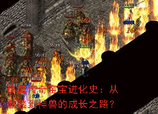 ��Ѫ���汦������ʷ�������õ����޵ĳɳ�֮·��