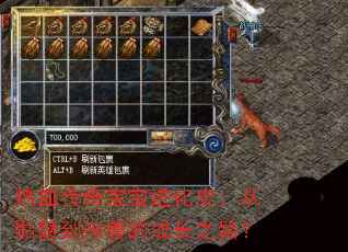 ��Ѫ���汦������ʷ�������õ����޵ĳɳ�֮·��