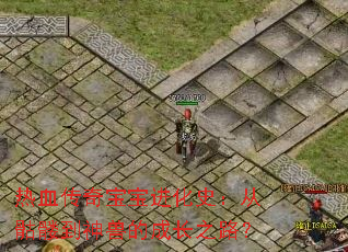 ��Ѫ���汦������ʷ�������õ����޵ĳɳ�֮·��