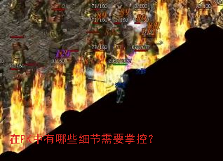 ��PK������Щϸ����Ҫ�ƿأ�