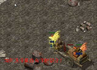 ���ѡ�����ʺ����ְҵ��