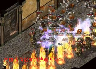 ��Ѫ��������ο���������