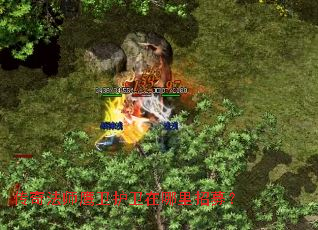 传奇法师鹰卫护卫在哪里招募? 传奇法师鹰卫护卫在哪里招募?