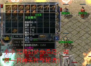 СС��ʦ���������ǣ����һ��ͨ�ش����ؾ���