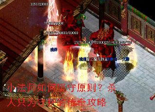 小法师如何坚守原则?杀人只为守护的传奇攻略 小法师如何坚守原则?杀人只为守护的传奇攻略