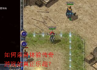 ����������鴫����Ϸ��������Ȥ��