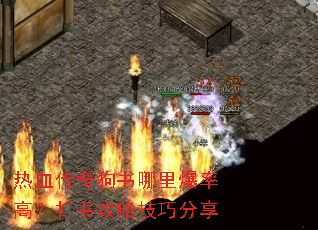 ��Ѫ���湷�����ﱬ�ʸߣ����鹥�Լ��ɷ���