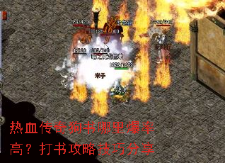 ��Ѫ���湷�����ﱬ�ʸߣ����鹥�Լ��ɷ���