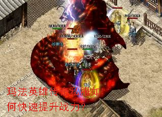 �귨Ӣ�۴���˽����ο�������ս����