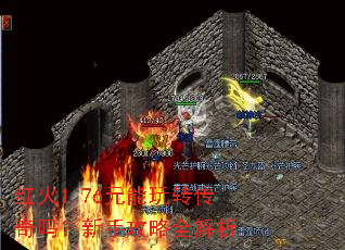 ���1.76Ԫ����ת���������ֹ���ȫ����