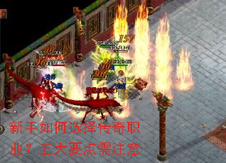 �������ѡ����ְҵ�����Ҫ����ע��