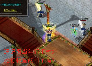 ���ǵõ������ִ���������è��������